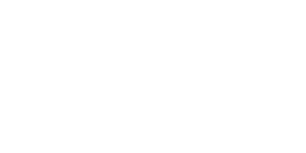 globe-msa-logo